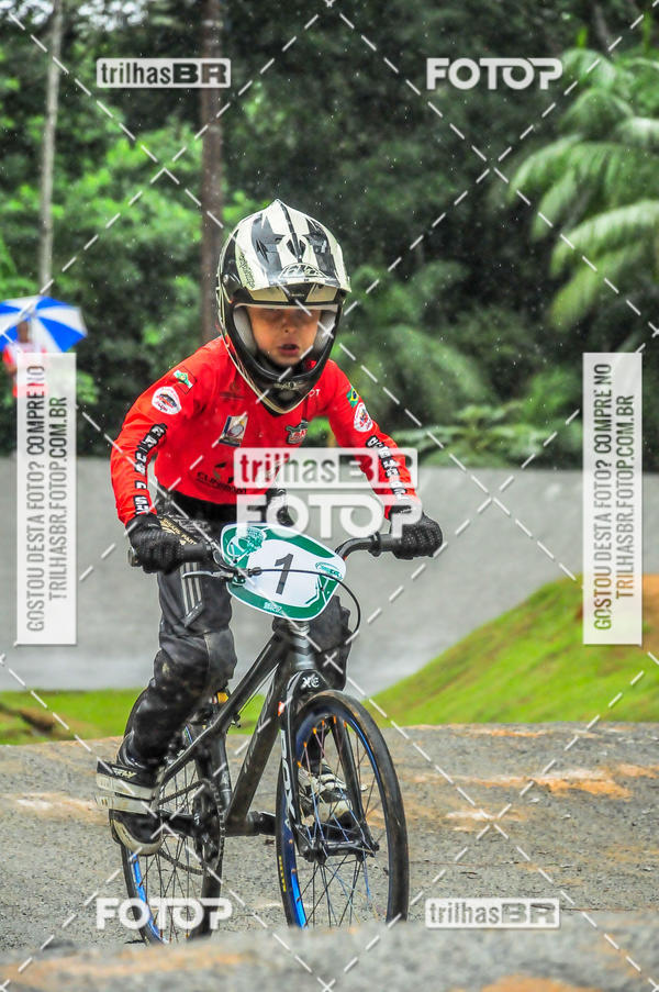 Buy your photos of the event1 Etapa Campeonato Brasileiro de Bicicross 2019 - CBBX on Fotop