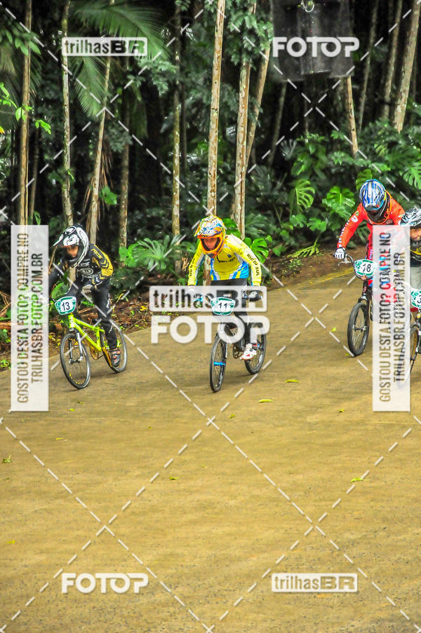 Buy your photos of the event1 Etapa Campeonato Brasileiro de Bicicross 2019 - CBBX on Fotop