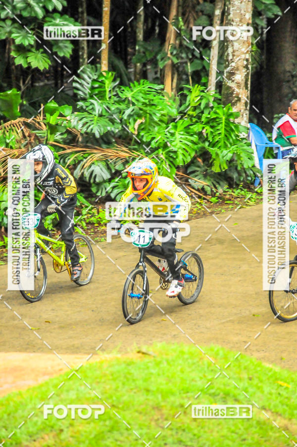 Buy your photos of the event1 Etapa Campeonato Brasileiro de Bicicross 2019 - CBBX on Fotop