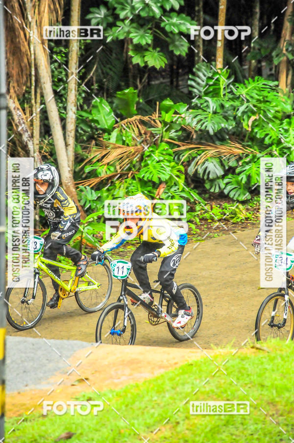 Buy your photos of the event1 Etapa Campeonato Brasileiro de Bicicross 2019 - CBBX on Fotop