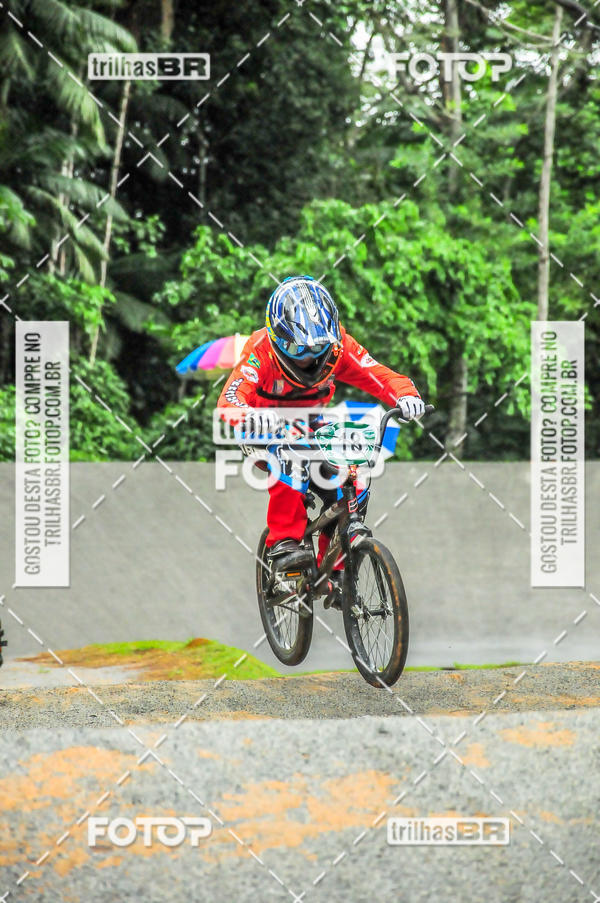 Buy your photos of the event1 Etapa Campeonato Brasileiro de Bicicross 2019 - CBBX on Fotop