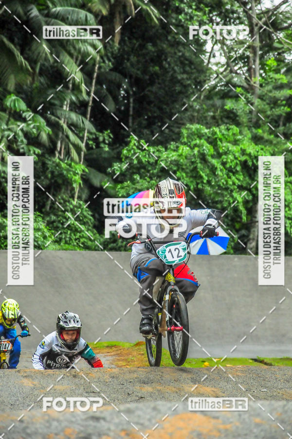 Buy your photos of the event1 Etapa Campeonato Brasileiro de Bicicross 2019 - CBBX on Fotop