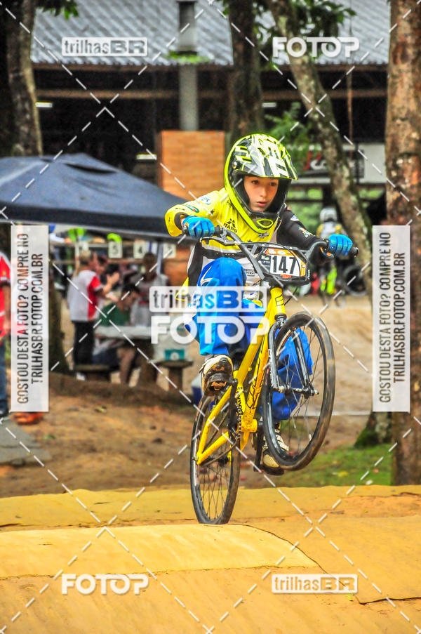Buy your photos of the event1 Etapa Campeonato Brasileiro de Bicicross 2019 - CBBX on Fotop