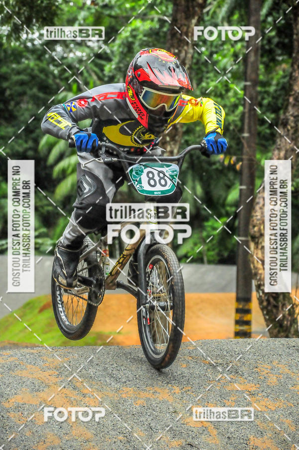 Buy your photos of the event1 Etapa Campeonato Brasileiro de Bicicross 2019 - CBBX on Fotop