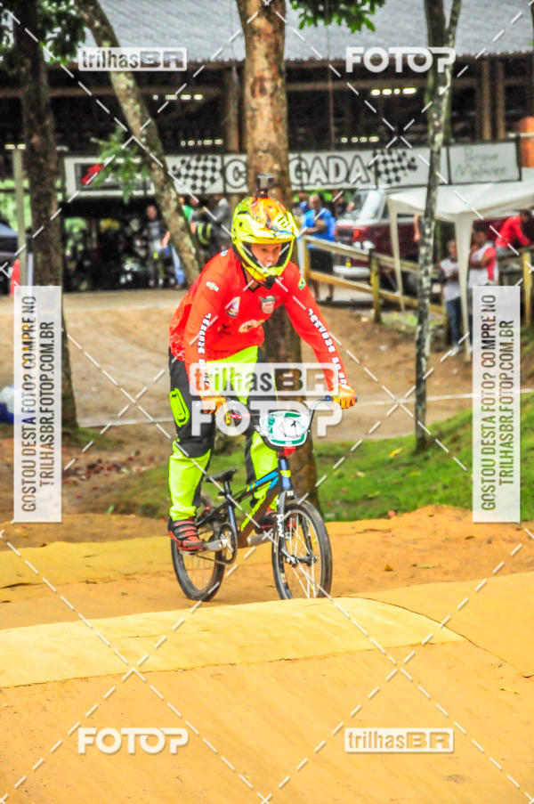 Buy your photos of the event1 Etapa Campeonato Brasileiro de Bicicross 2019 - CBBX on Fotop