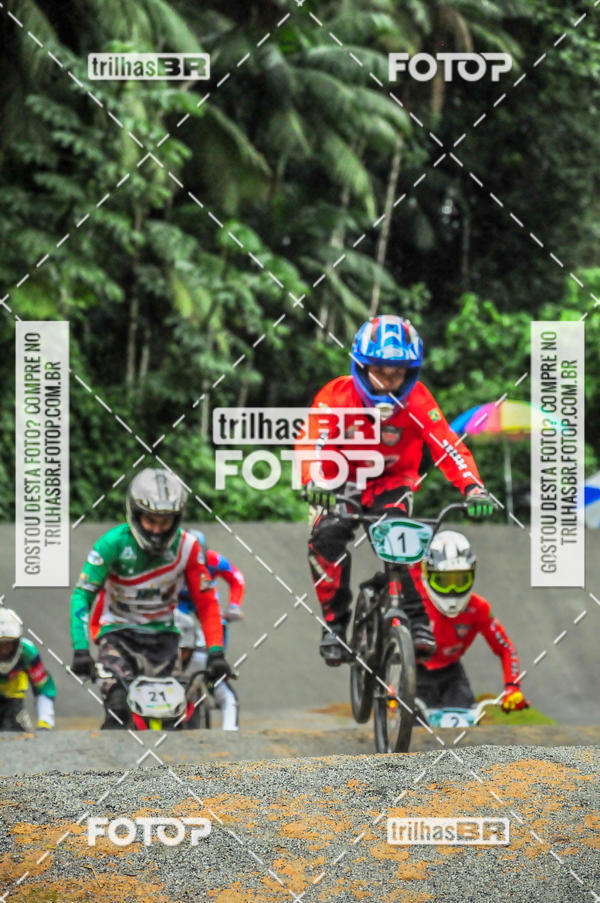 Buy your photos of the event1 Etapa Campeonato Brasileiro de Bicicross 2019 - CBBX on Fotop