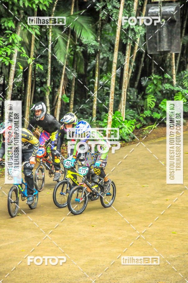 Buy your photos of the event1 Etapa Campeonato Brasileiro de Bicicross 2019 - CBBX on Fotop