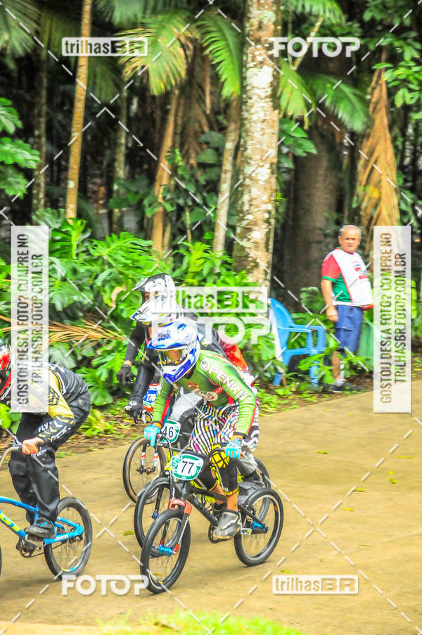 Buy your photos of the event1 Etapa Campeonato Brasileiro de Bicicross 2019 - CBBX on Fotop