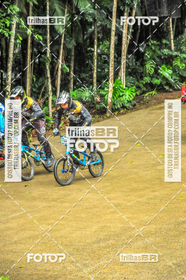 Buy your photos of the event1 Etapa Campeonato Brasileiro de Bicicross 2019 - CBBX on Fotop