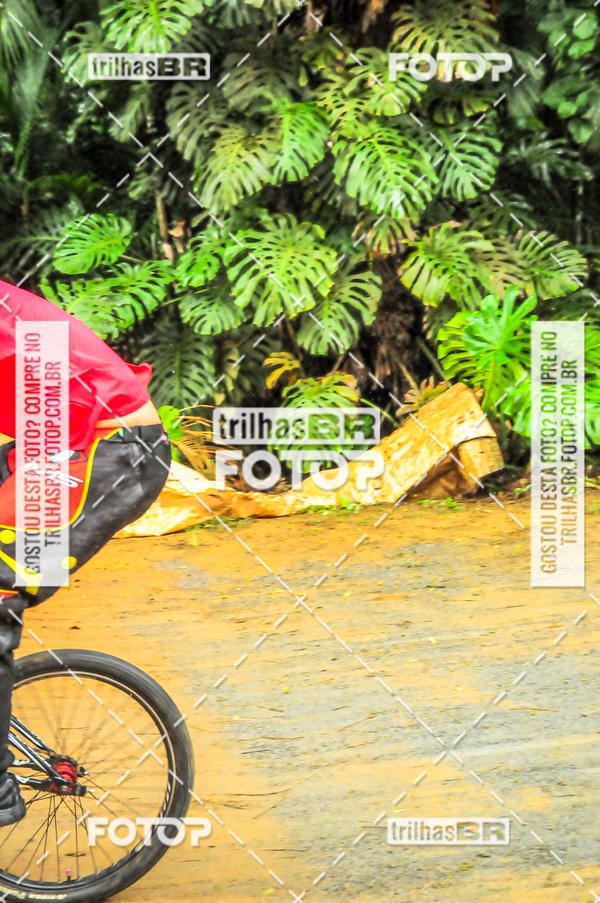 Buy your photos of the event1 Etapa Campeonato Brasileiro de Bicicross 2019 - CBBX on Fotop