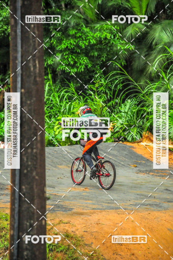 Buy your photos of the event1 Etapa Campeonato Brasileiro de Bicicross 2019 - CBBX on Fotop