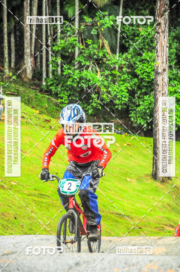 Buy your photos of the event1 Etapa Campeonato Brasileiro de Bicicross 2019 - CBBX on Fotop