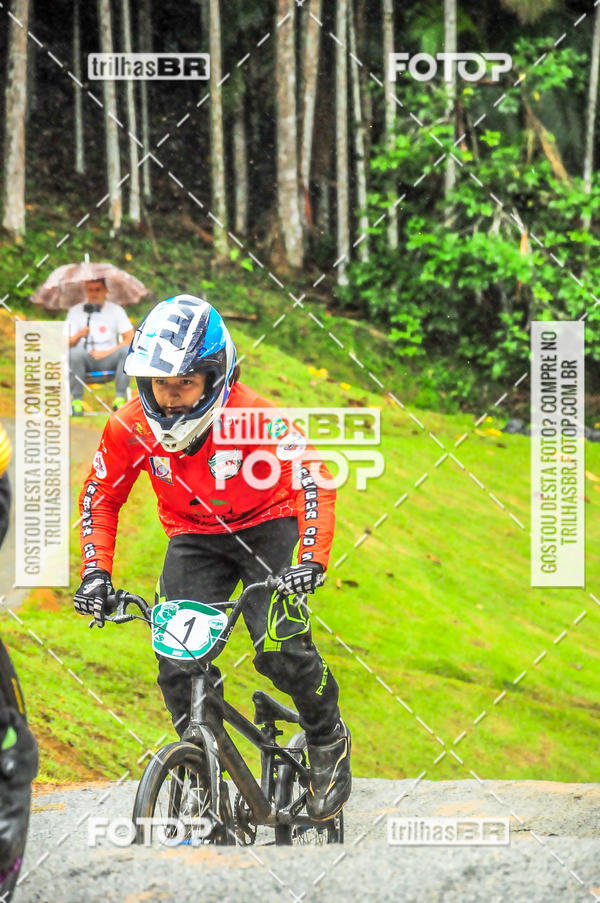 Buy your photos of the event1 Etapa Campeonato Brasileiro de Bicicross 2019 - CBBX on Fotop