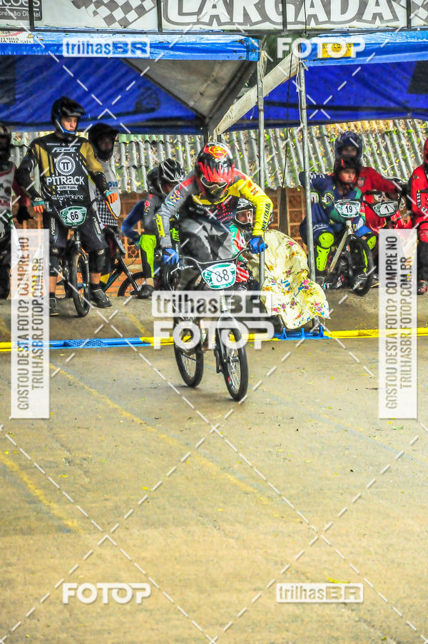 Buy your photos of the event1 Etapa Campeonato Brasileiro de Bicicross 2019 - CBBX on Fotop