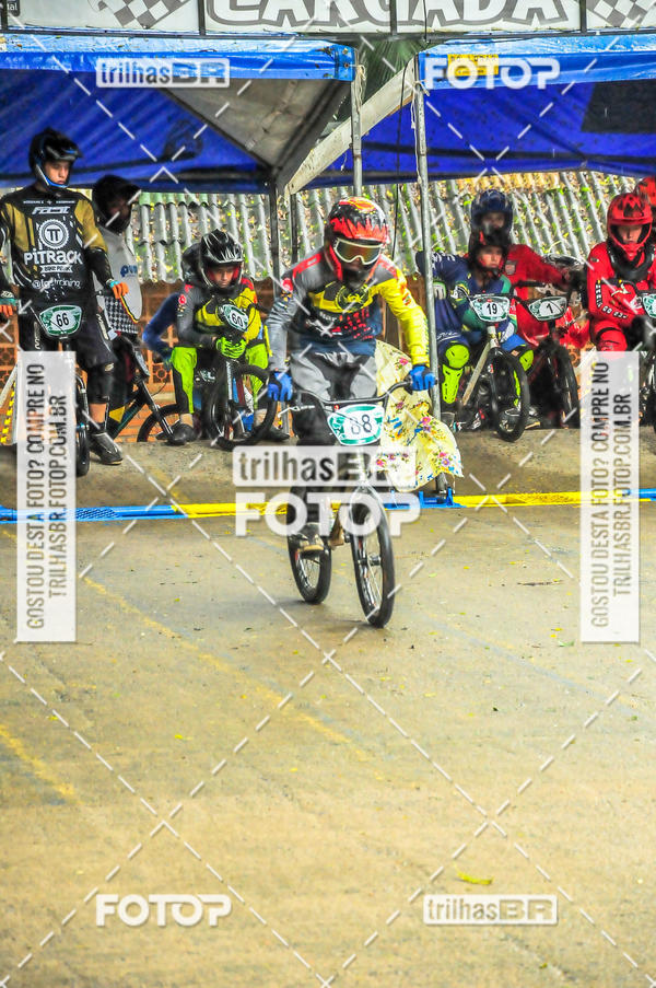 Buy your photos of the event1 Etapa Campeonato Brasileiro de Bicicross 2019 - CBBX on Fotop