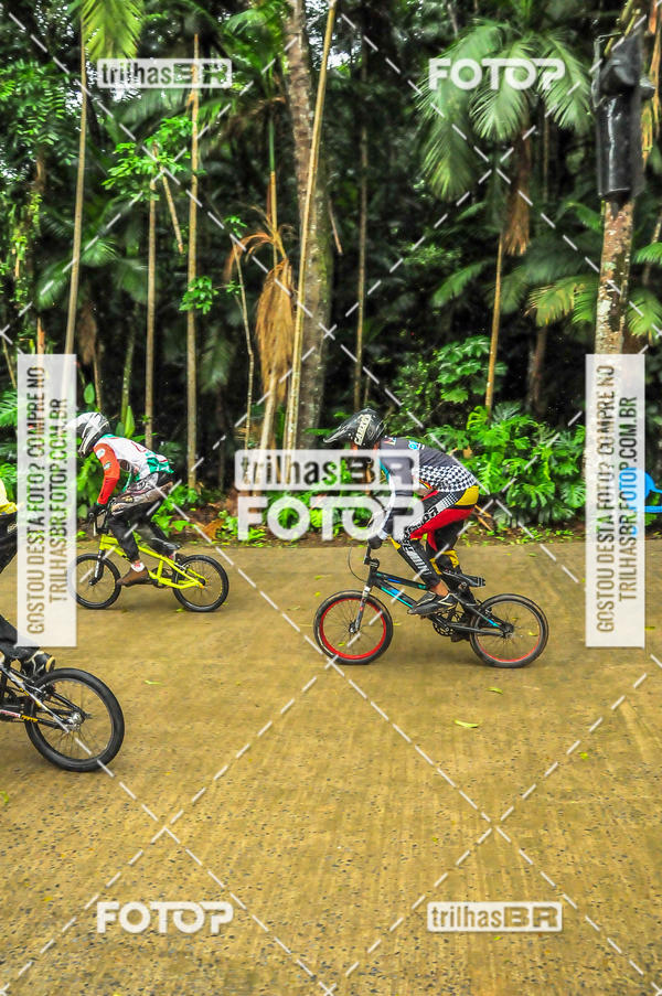 Buy your photos of the event1 Etapa Campeonato Brasileiro de Bicicross 2019 - CBBX on Fotop