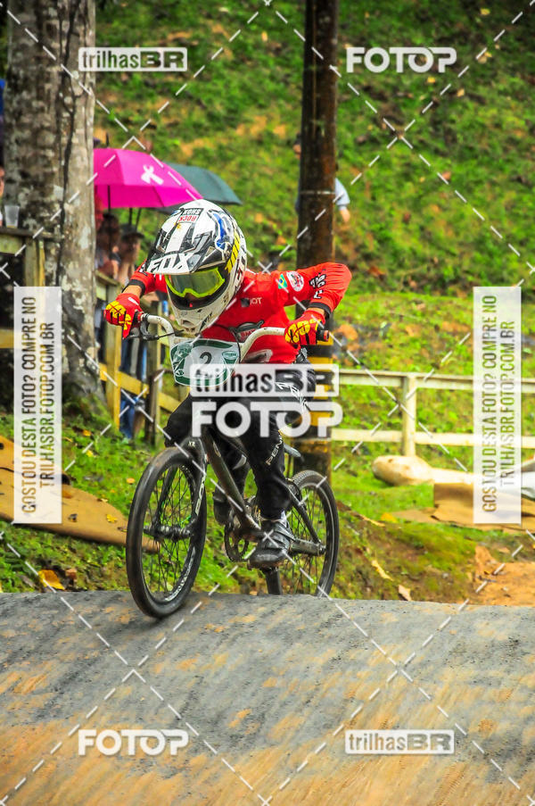 Buy your photos of the event1 Etapa Campeonato Brasileiro de Bicicross 2019 - CBBX on Fotop