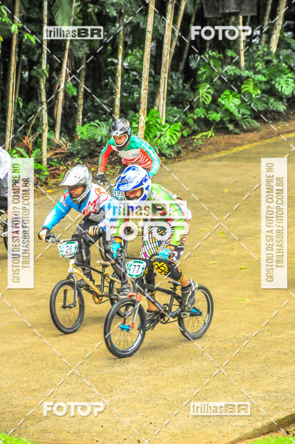 Buy your photos of the event1 Etapa Campeonato Brasileiro de Bicicross 2019 - CBBX on Fotop