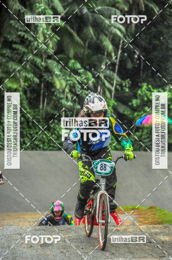 Buy your photos of the event1 Etapa Campeonato Brasileiro de Bicicross 2019 - CBBX on Fotop
