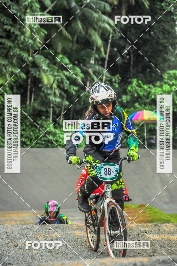 Buy your photos of the event1 Etapa Campeonato Brasileiro de Bicicross 2019 - CBBX on Fotop