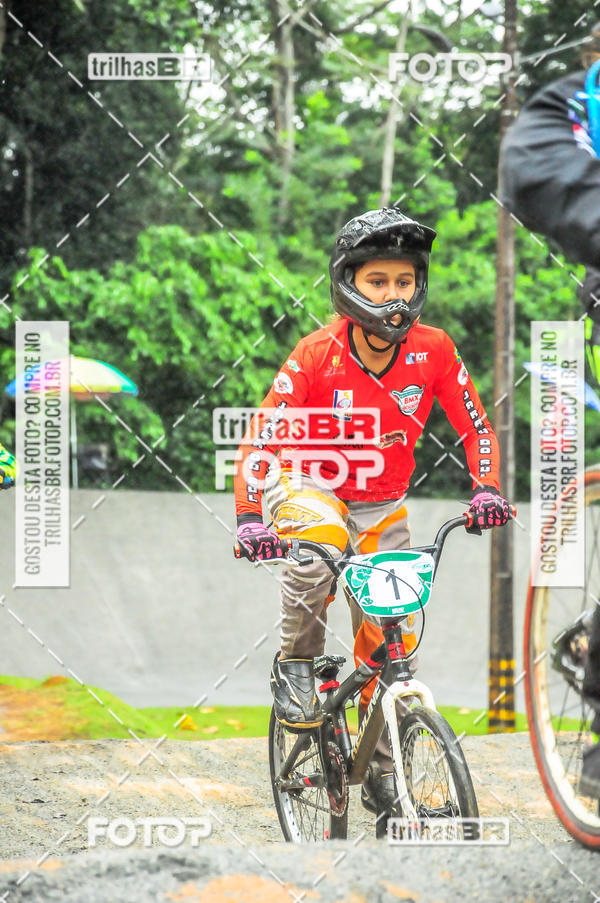 Buy your photos of the event1 Etapa Campeonato Brasileiro de Bicicross 2019 - CBBX on Fotop