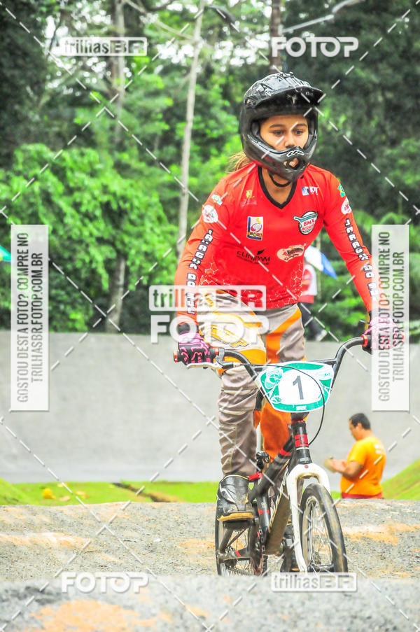 Buy your photos of the event1 Etapa Campeonato Brasileiro de Bicicross 2019 - CBBX on Fotop
