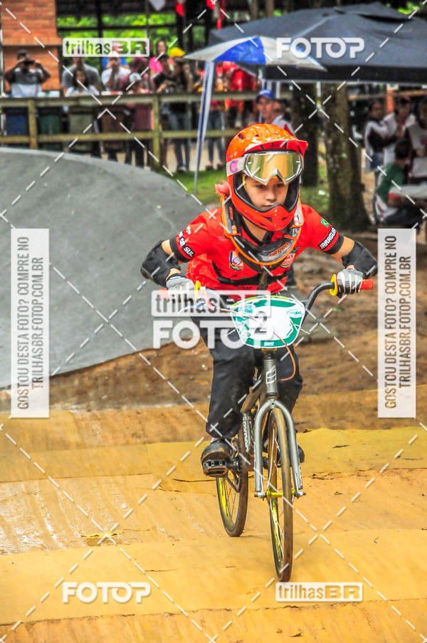 Buy your photos of the event1 Etapa Campeonato Brasileiro de Bicicross 2019 - CBBX on Fotop