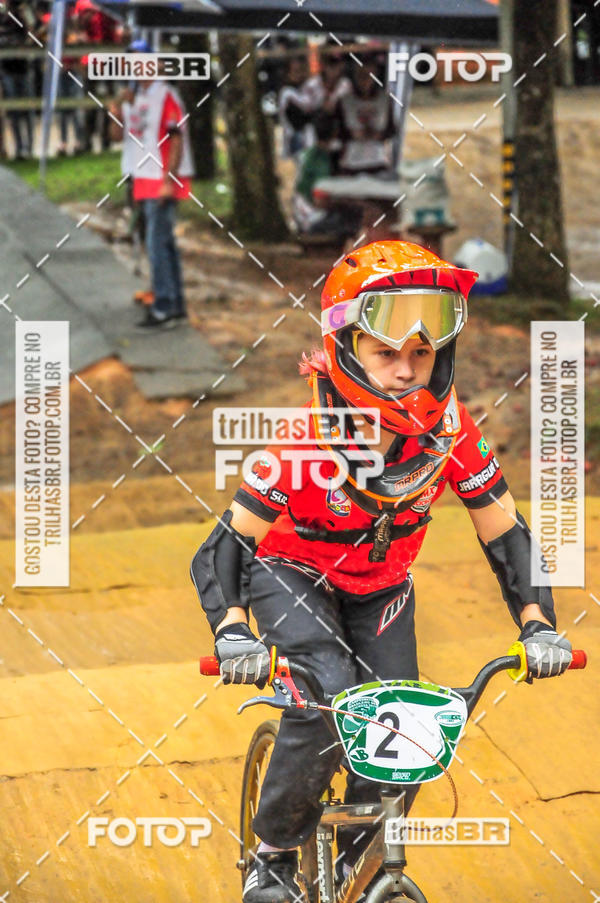 Buy your photos of the event1 Etapa Campeonato Brasileiro de Bicicross 2019 - CBBX on Fotop