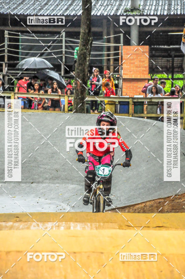 Buy your photos of the event1 Etapa Campeonato Brasileiro de Bicicross 2019 - CBBX on Fotop