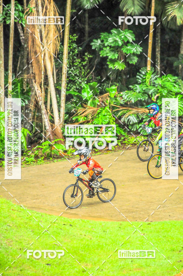 Buy your photos of the event1 Etapa Campeonato Brasileiro de Bicicross 2019 - CBBX on Fotop