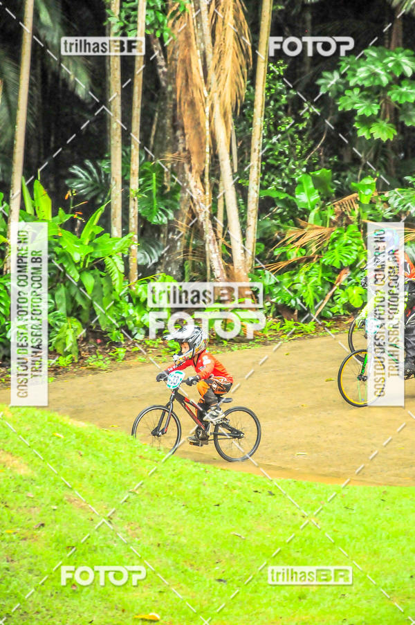 Buy your photos of the event1 Etapa Campeonato Brasileiro de Bicicross 2019 - CBBX on Fotop