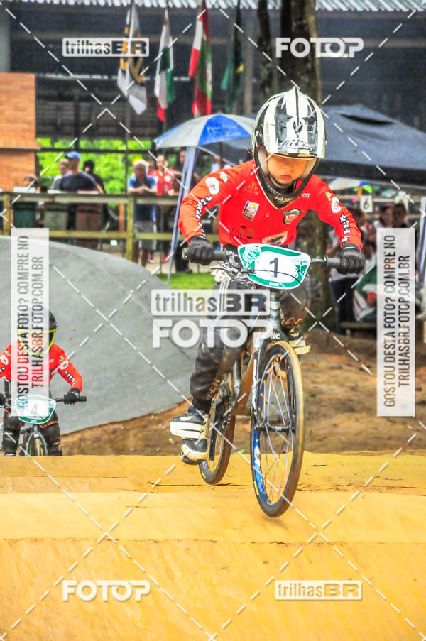 Buy your photos of the event1 Etapa Campeonato Brasileiro de Bicicross 2019 - CBBX on Fotop