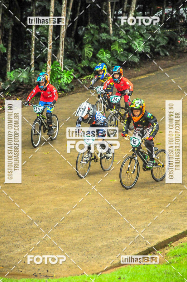 Buy your photos of the event1 Etapa Campeonato Brasileiro de Bicicross 2019 - CBBX on Fotop