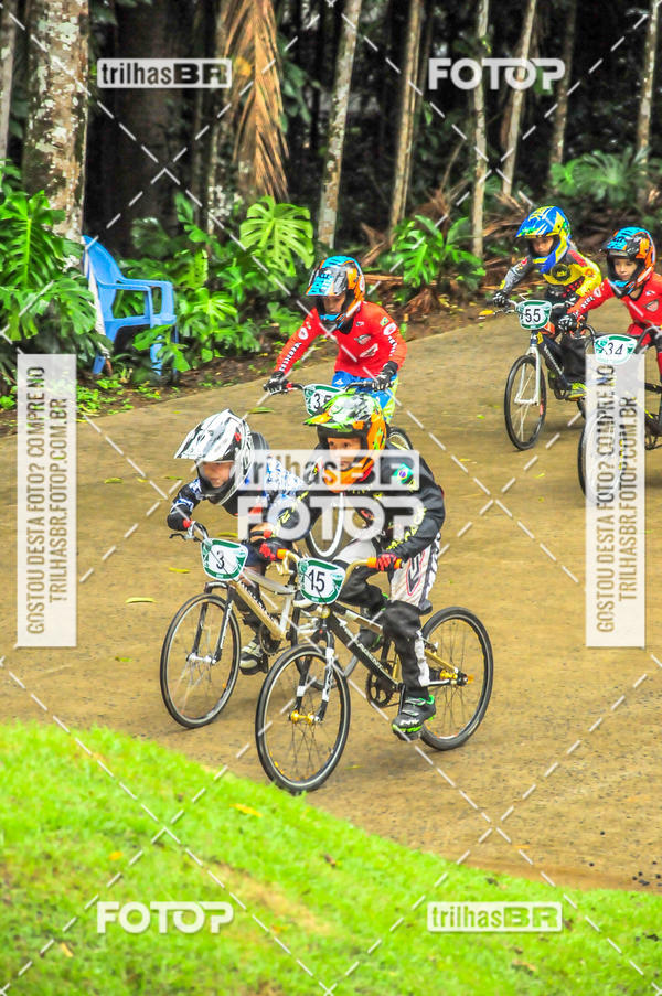Buy your photos of the event1 Etapa Campeonato Brasileiro de Bicicross 2019 - CBBX on Fotop