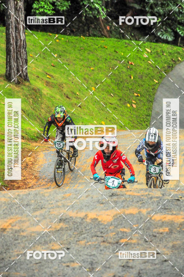 Buy your photos of the event1 Etapa Campeonato Brasileiro de Bicicross 2019 - CBBX on Fotop