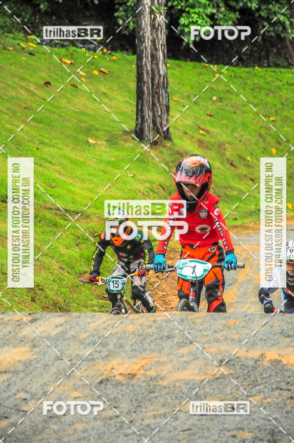 Buy your photos of the event1 Etapa Campeonato Brasileiro de Bicicross 2019 - CBBX on Fotop