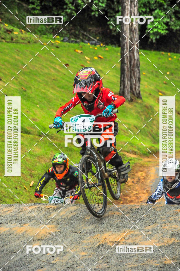 Buy your photos of the event1 Etapa Campeonato Brasileiro de Bicicross 2019 - CBBX on Fotop