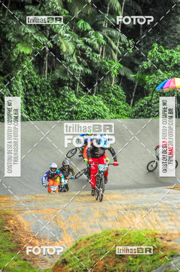 Buy your photos of the event1 Etapa Campeonato Brasileiro de Bicicross 2019 - CBBX on Fotop
