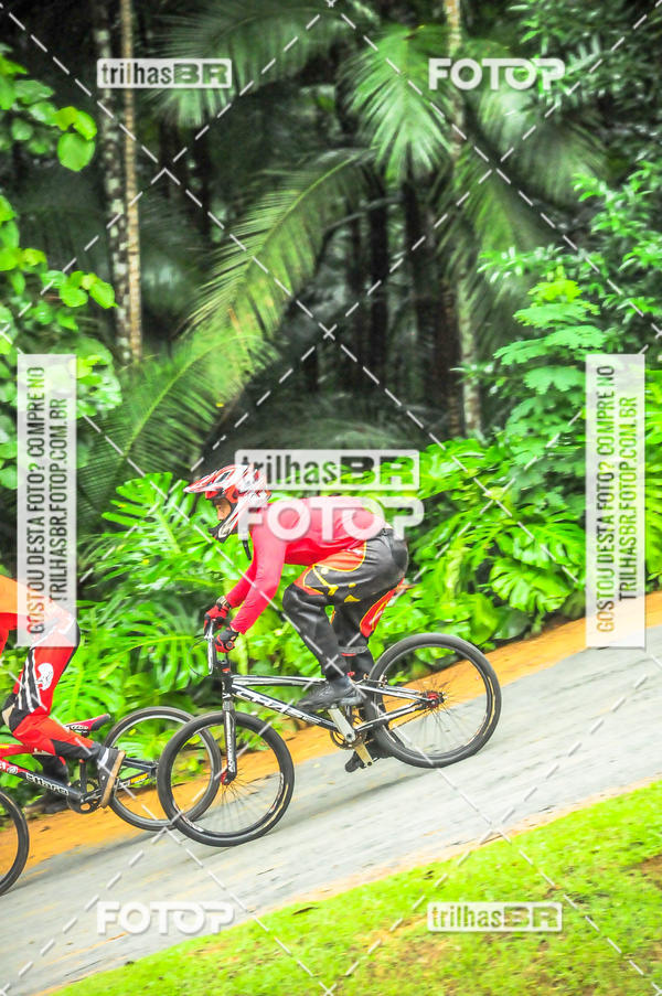 Buy your photos of the event1 Etapa Campeonato Brasileiro de Bicicross 2019 - CBBX on Fotop