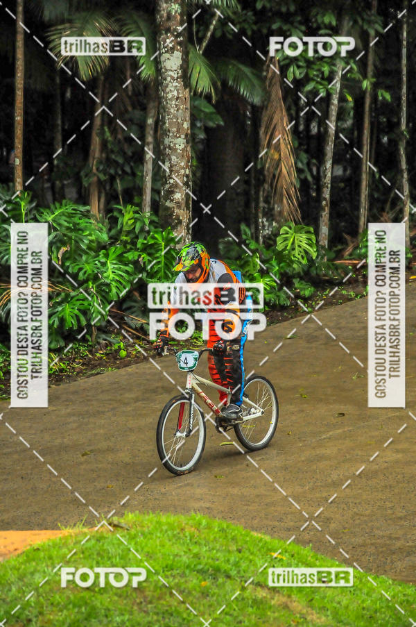 Buy your photos of the event1 Etapa Campeonato Brasileiro de Bicicross 2019 - CBBX on Fotop