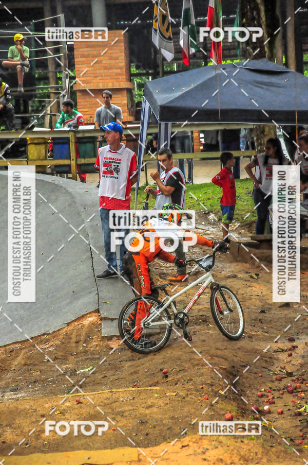 Buy your photos of the event1 Etapa Campeonato Brasileiro de Bicicross 2019 - CBBX on Fotop