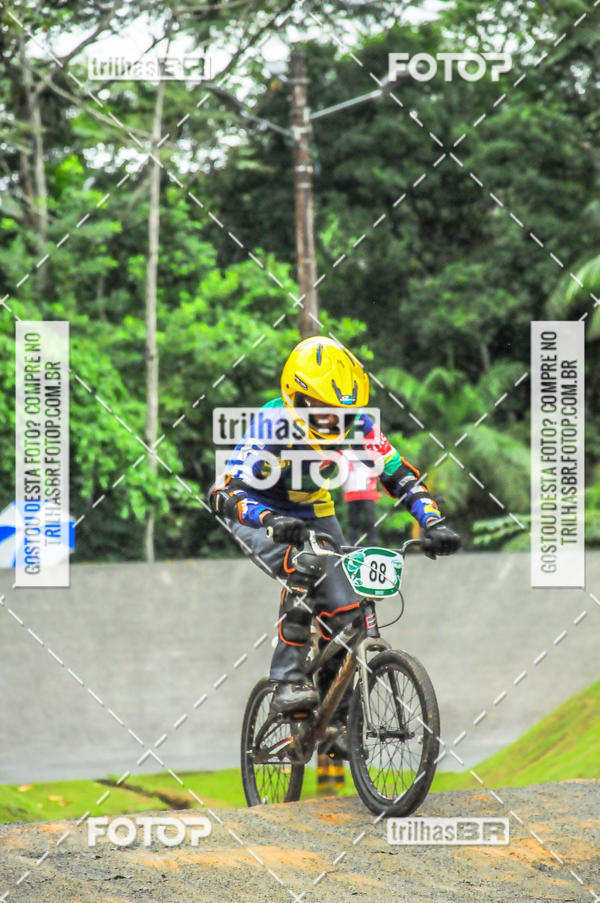 Buy your photos of the event1 Etapa Campeonato Brasileiro de Bicicross 2019 - CBBX on Fotop