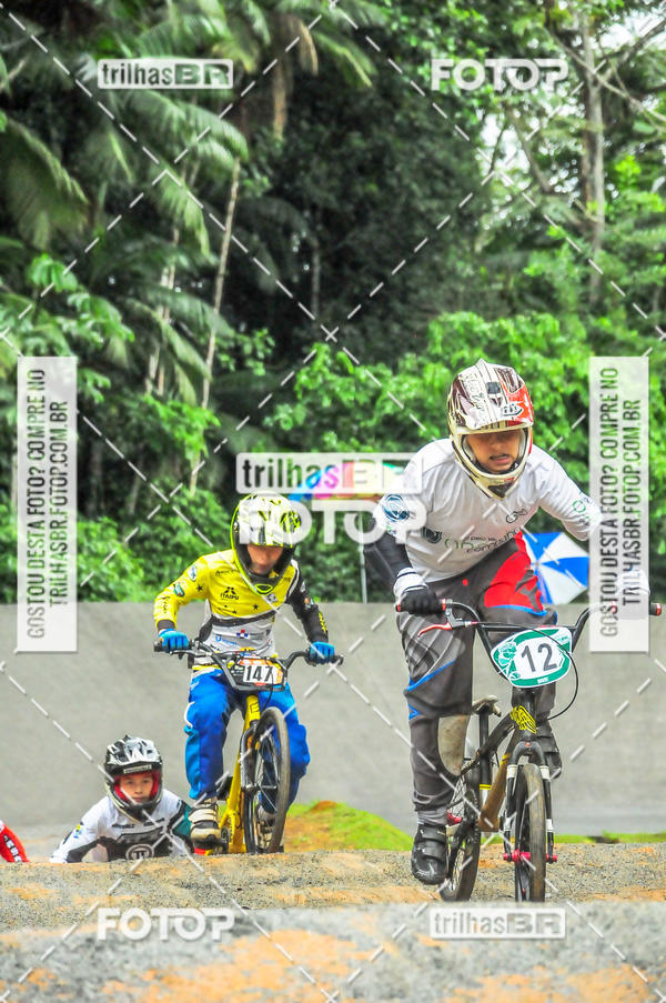 Buy your photos of the event1 Etapa Campeonato Brasileiro de Bicicross 2019 - CBBX on Fotop