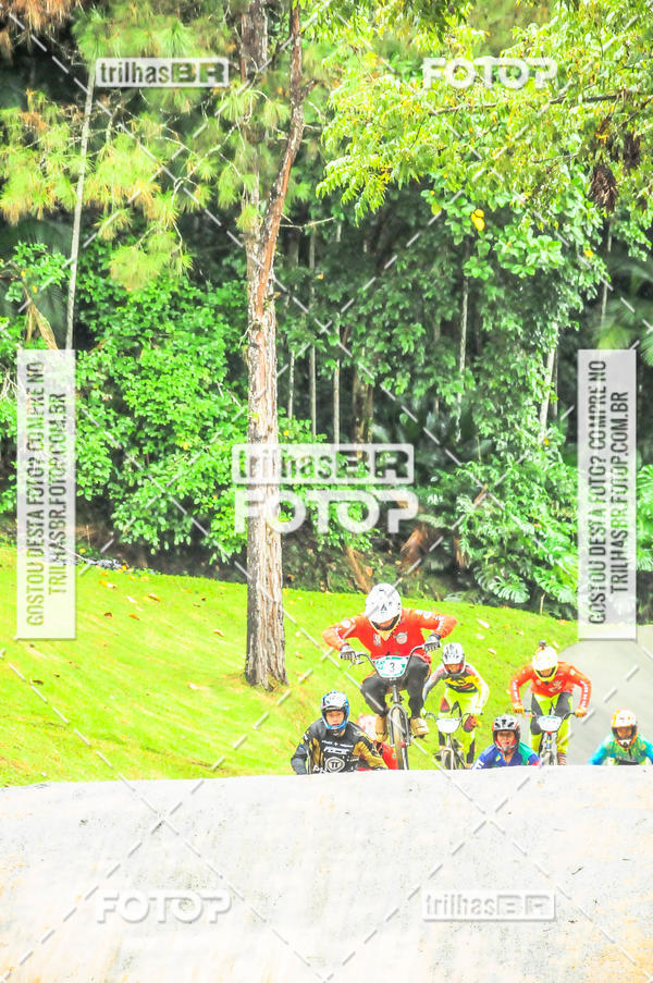 Buy your photos of the event1 Etapa Campeonato Brasileiro de Bicicross 2019 - CBBX on Fotop