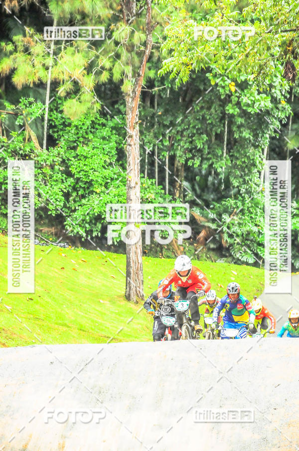 Buy your photos of the event1 Etapa Campeonato Brasileiro de Bicicross 2019 - CBBX on Fotop