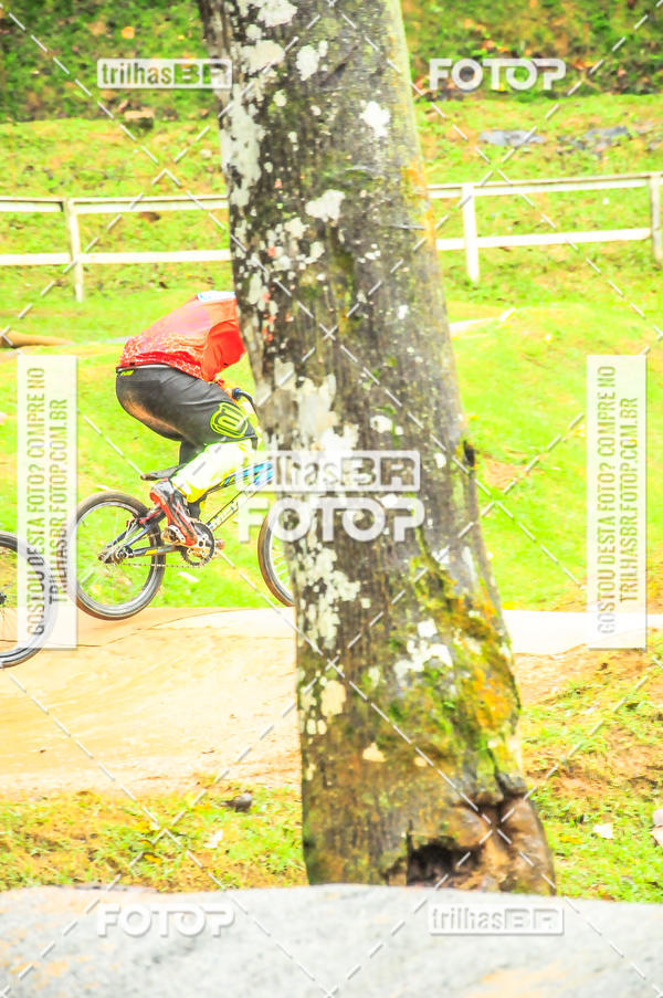 Buy your photos of the event1 Etapa Campeonato Brasileiro de Bicicross 2019 - CBBX on Fotop