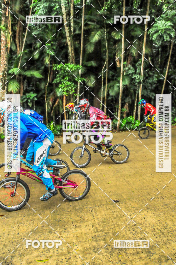 Buy your photos of the event1 Etapa Campeonato Brasileiro de Bicicross 2019 - CBBX on Fotop