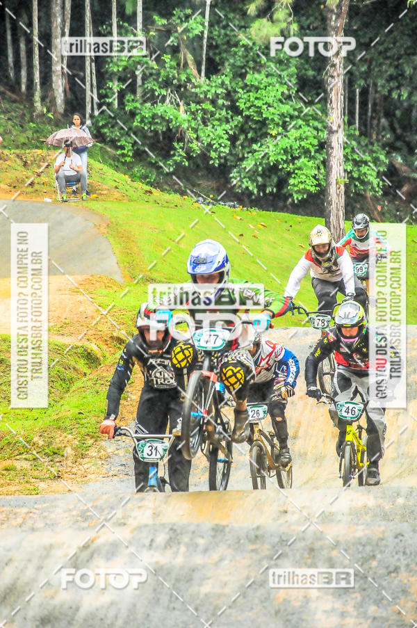 Buy your photos of the event1 Etapa Campeonato Brasileiro de Bicicross 2019 - CBBX on Fotop