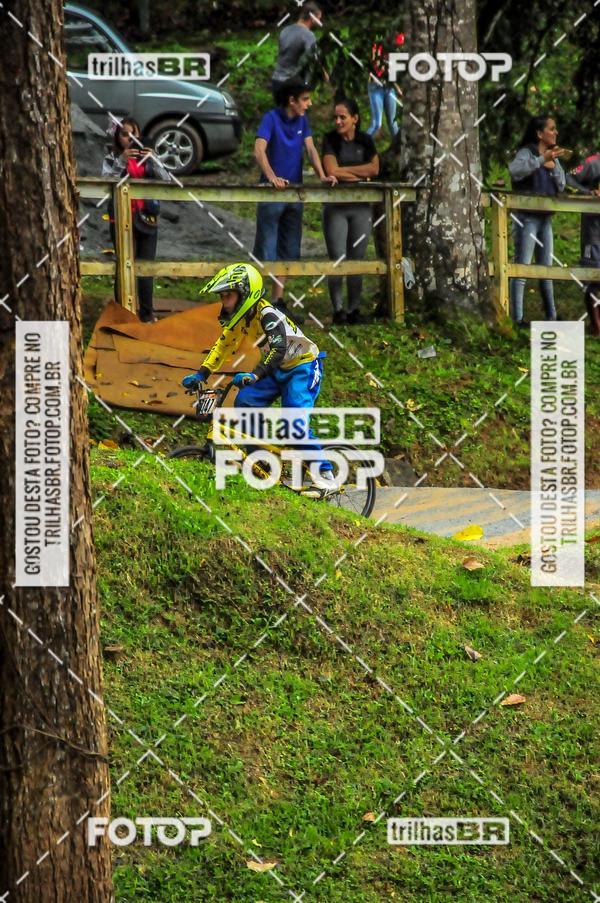 Buy your photos of the event1 Etapa Campeonato Brasileiro de Bicicross 2019 - CBBX on Fotop