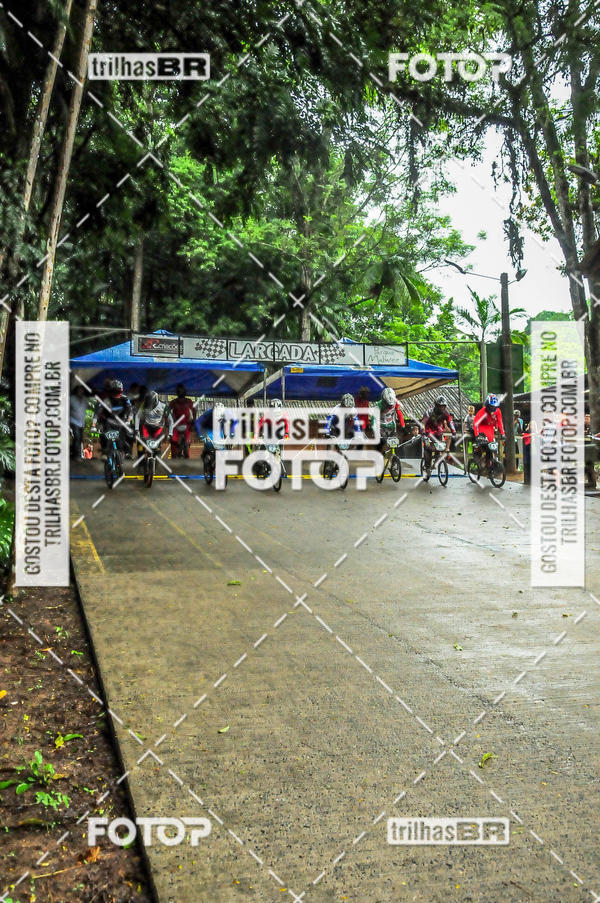 Buy your photos of the event1 Etapa Campeonato Brasileiro de Bicicross 2019 - CBBX on Fotop